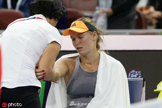 张本智和率 张本智和率